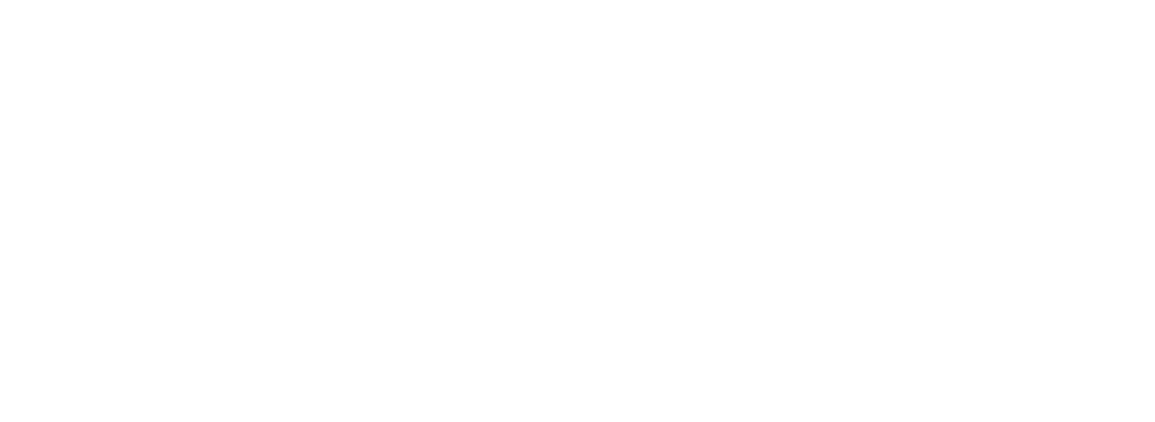 PACE logo [White]